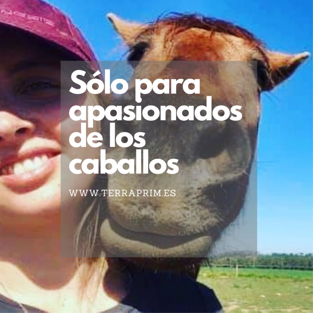 (Español) Relaciones humano-caballo